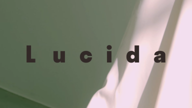 Lucida(ルシーダ) 2022 Spring Summer Collectionカットイメージ